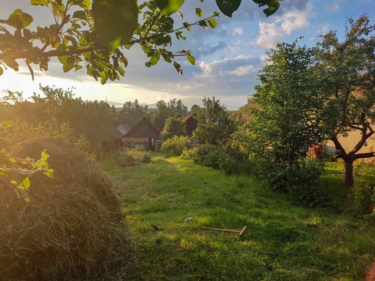 Hybsky Dom Est 1905 Villa Hybe Eksteriør billede